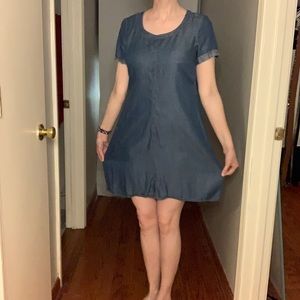 Denim Chambray Dress with Gold Zipper Back